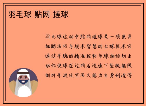 羽毛球 贴网 搓球