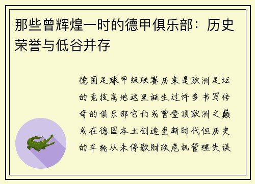 那些曾辉煌一时的德甲俱乐部：历史荣誉与低谷并存