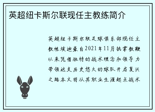 英超纽卡斯尔联现任主教练简介